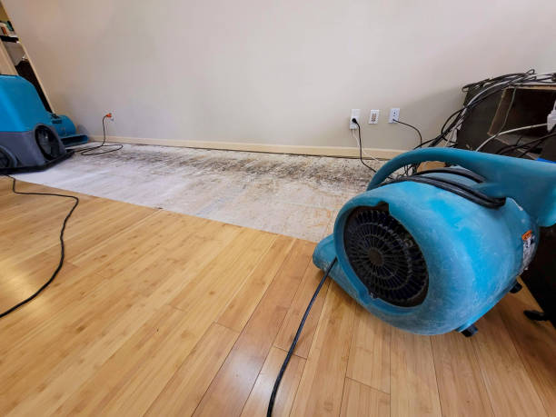 Professional Structural Drying technician working in Lakeland, NY